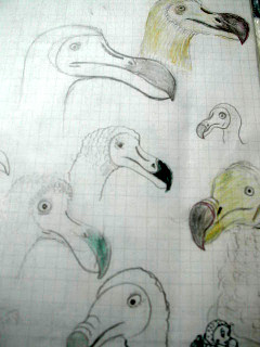 dodo sketch2.jpg