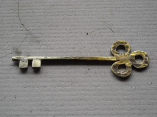 Key clover1695-.JPG